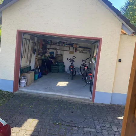 Am Bodensee Moos (Baden-Wurttemberg)